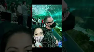 Ripleys aquarium canada