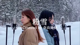 【姉妹でハモる / MV】粉雪 / レミオロメン Covered by 奈良姉妹