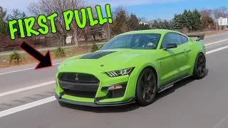 2020 MUSTANG GT500 FIRST LOOK! *SPOTTED*