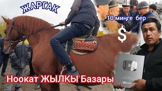 Ноокат ЖЫЛКЫ Базарга  ЖАРГАК кирди  Соода Кызуу болду пай пай пай