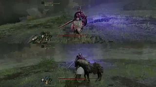 Elden Ring Splitscreen Local Coop