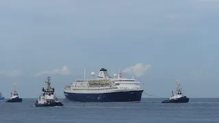 SHIPSPOTTING COMPILATION - FINAL EDITION 2020 - ENJOY! #233