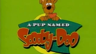 A Pup Named Scooby Doo - Instrumental Karaoke Intro