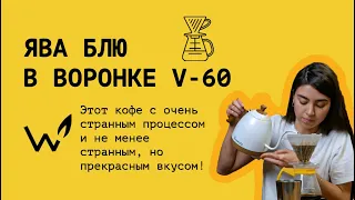 Как приготовить кофе в воронке харио V-60 (пуровер)? Рецепт кофе Ява Блю «The Welder Catherine»