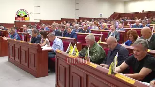 Пленарное заседание парламента ДНР