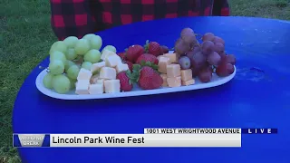 Weekend Break: Lincoln Park Wine Fest