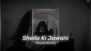 Sheila Ki Jawani ( Slowed+Reverb )