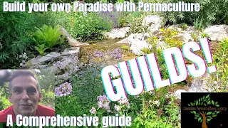 A comprehensive guide to Permaculture Guilds
