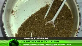 Найдены залежи наркотиков в одной из квартир