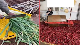 Satisfying Videos of Workers That Work Extremely Well, I Can't Stop Watching It !#1