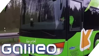 Flixbus - 4 Gründe, warum Fernbusfahrten so billig sind | Galileo | ProSieben