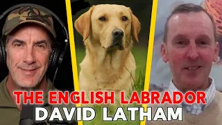 The English Labrador Retriever with David Latham - Episode 126