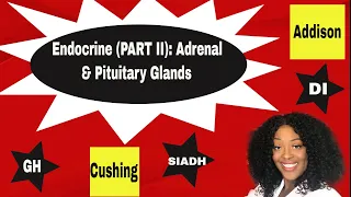 Endocrine System: Adrenal and Pituitary Part II 2