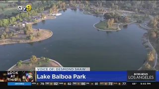 Look At This: Lake Balboa Park