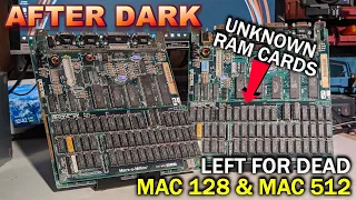 These old Mac motherboards have cool 3rd party RAM expansion (Mac's-a-million)