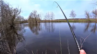 Ловля Щуки Після Нересту. Риболовля Весною на Спінінг