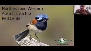 Birds and Wildlife of North and West Australia with Birding Ecotours