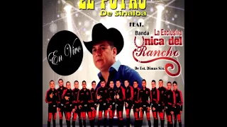 El POTRO DE SINALOA en vivo,,feat Banda la Exclusiva Única del Rancho,,desde Tacuichamona Sin,,♞🍻🍺