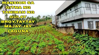 IBAT IBANG URI NG PANANIM BRGY TAYTAY MAJAY JAY LAGUNA