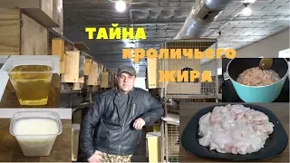 О пользе кроличьего жира