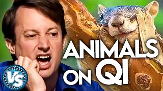 Funny Animal Related Rounds On QI! Interesting Animal Facts!