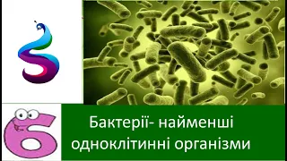 Бактерії- найменші одноклітинні організми.
