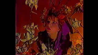 2 plus 1 (Dwa Plus Jeden) - Video (1985)