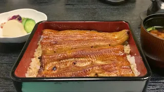 Grilled Eel UNAGI うなぎ Japanese Food in Tokyo