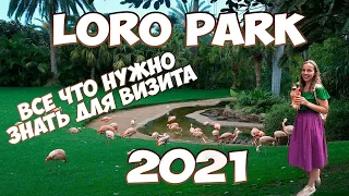 Лучшее место для посещения на Тенерифе - Лоро Парк 2021 -  Loro Parque -   LORO PARK 2021