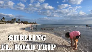 Road Trip Shelling Blind Pass, SANIBEL and ST. AUGUSTINE BEACH in FLORIDA