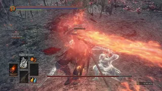 Soul Of Cinder Vs Random.Player controlled boss.