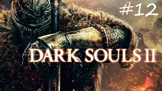 Dark souls 2: Scholar of the First Sin #12 Склеп Нежити, Цитадель Алдии и Драконы