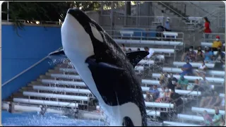 Orca Encounter (Full Show) - SeaWorld Orlando - April 25, 2021