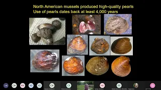 Kentucky’s Mussel Restoration Activities