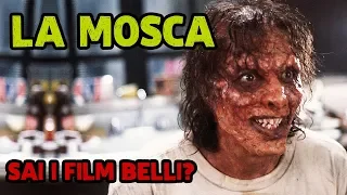 LA MOSCA - Romantico e SCHIFOSO