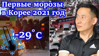 Первые морозы в Корее 2021 год/Гололёд  на дорогах