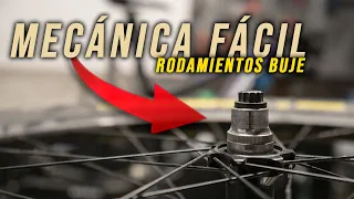 SUSTITUIR RODAMIENTOS BUJE BICICLETA | Johan Sebastia