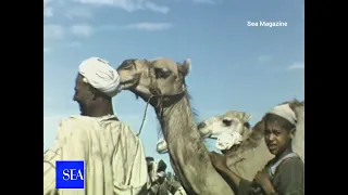 Marrakech 1960 مراكش