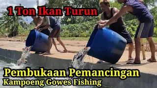1 Ton Ikan Turun | Pembukaan Pamancingan | Kampoeng Gowes Fishing