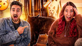 ROTINA VIDA REAL ADOTAMOS UM NOVO PET | Gabriel e Shirley 2.0