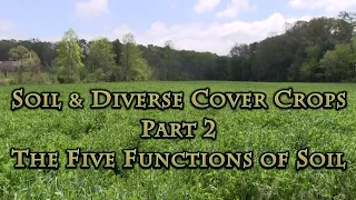 Soil & Diverse Cover Crops Part 2 The Five Functions of Soil