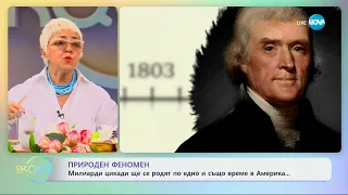 Природен феномен: Милиарди цикади ще се родят по едно и също време в Америка - „На кафе“