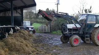 Case 1494 | Feeding Silage Bales To Cattle | Dec 2021 | (5)