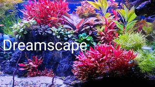 New Update on my XXL home Aquarium, Waterworld dream