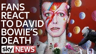Fans React To David Bowie's Death