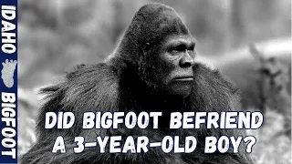 Did Bigfoot Befriend a 3-Year-Old Boy? | Missing 411: Casey Hathaway | North Carolina