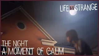 A Moment of Calm - The Night