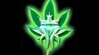 Kottonmouth Kings (KMK) - D Iz Who I B