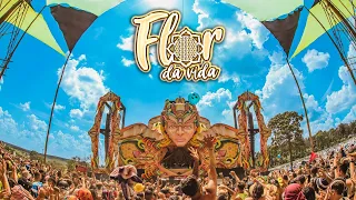 FLOR DA VIDA 2023 🌺 [AFTERMOVIE]