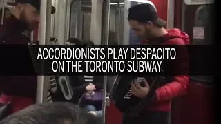Luis Fonsi's Despacito ft. Daddy Yankee on the accordion